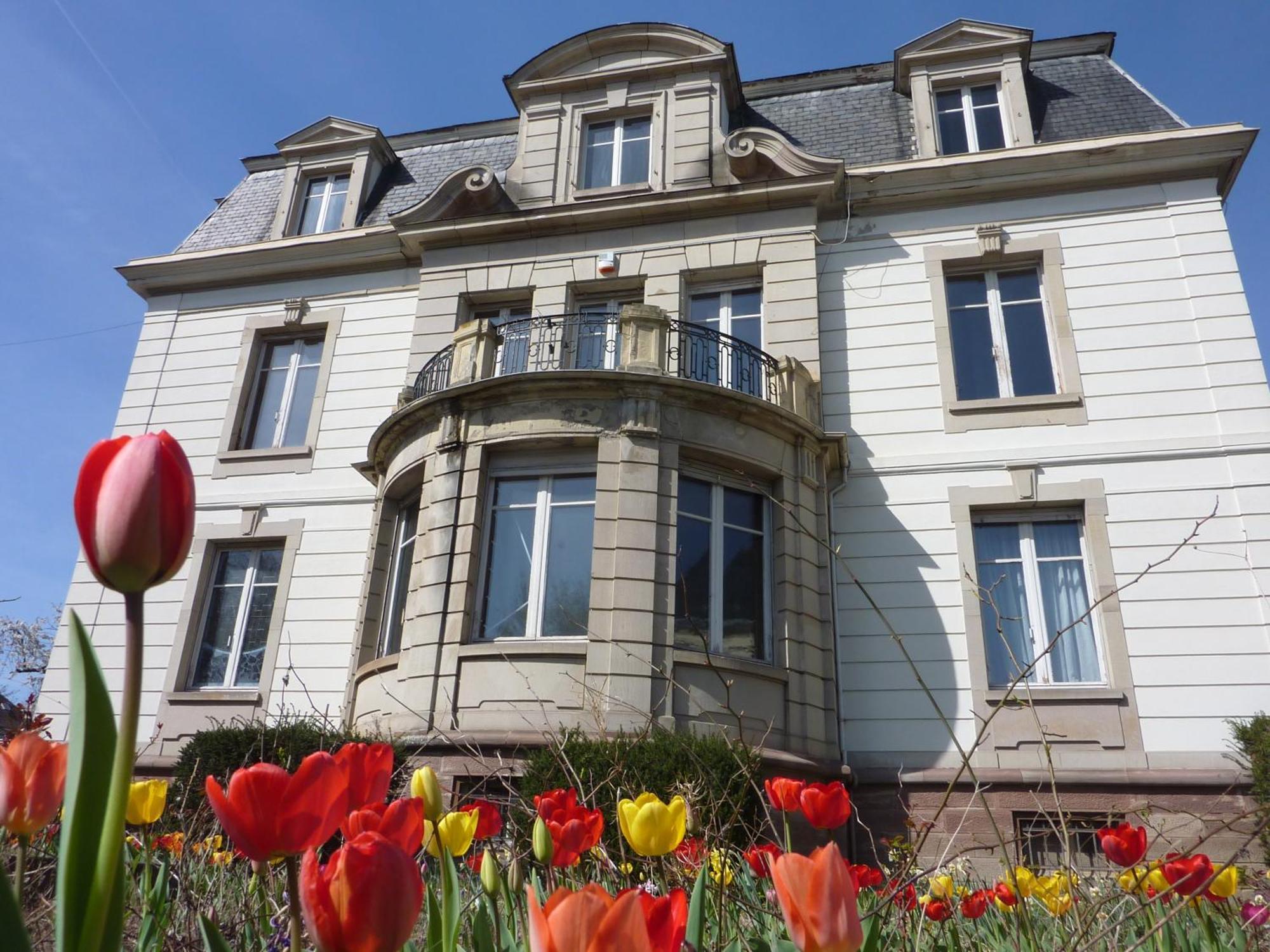 Villa Elyane Colmar Exterior photo